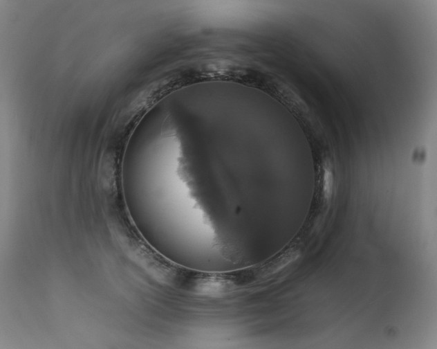 X0000111470754200907131518