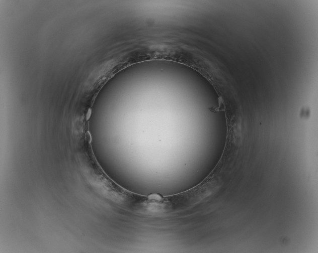 X0000111470756200907131518