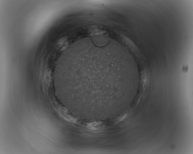 X0000111470761200907131518