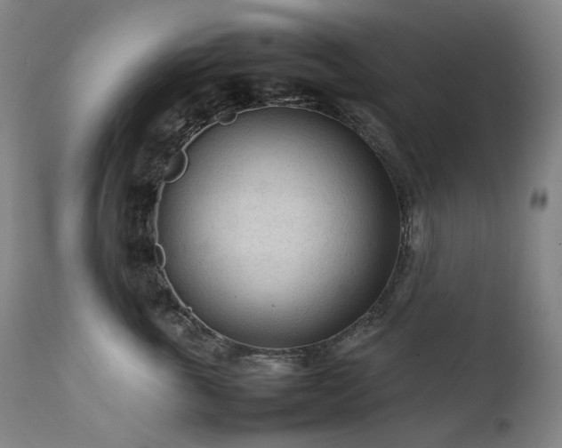X0000111470763200907131518