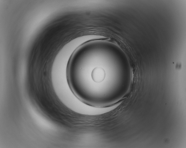 X0000111470764200907131518