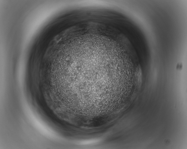 X0000111470765200907131518