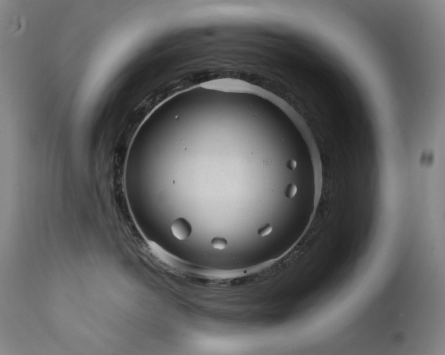 X0000111470766200907131518