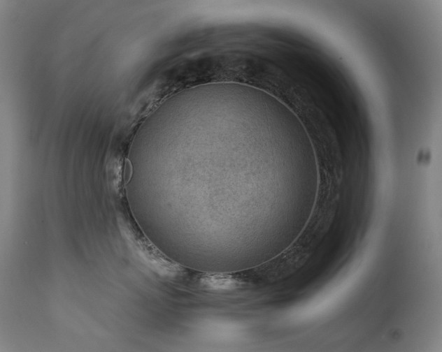 X0000111470767200907131518