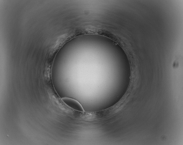 X0000111470768200907131518