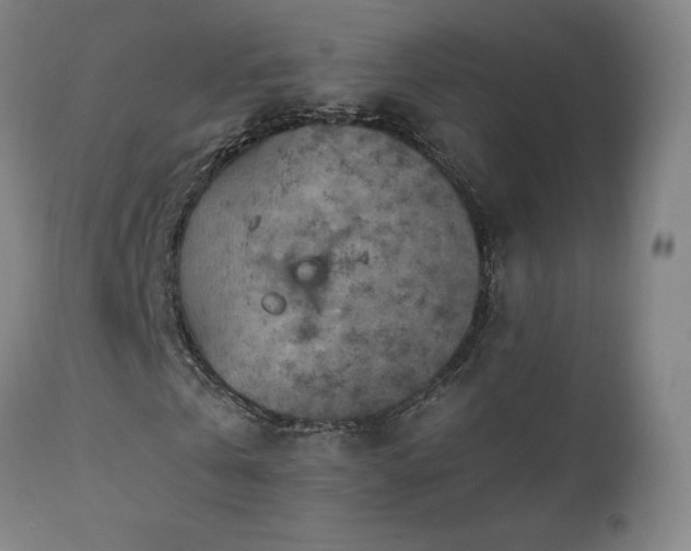 X0000111470769200907131517