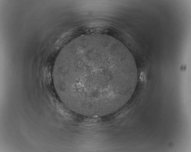 X0000111470771200907131517