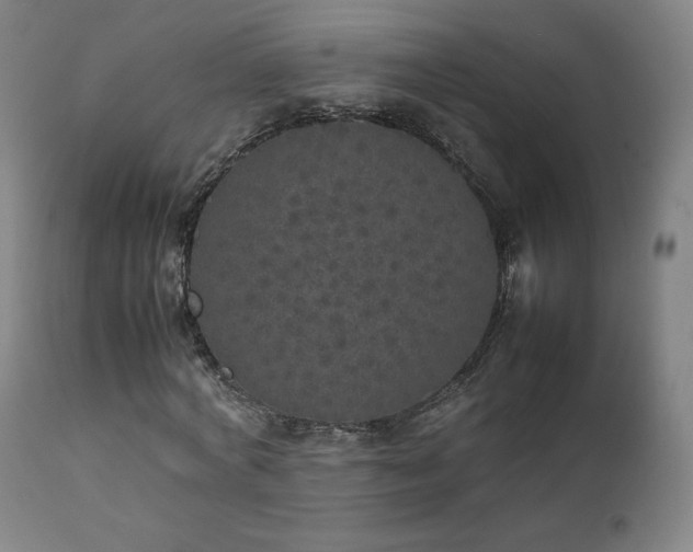 X0000111470772200907131517