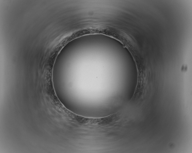 X0000111470773200907131517