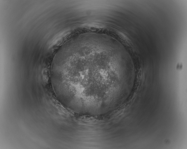 X0000111470774200907131517