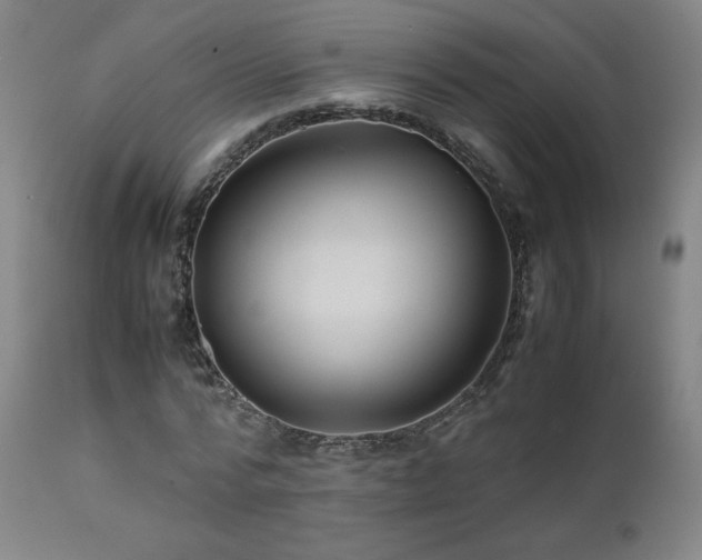 X0000111470776200907131517