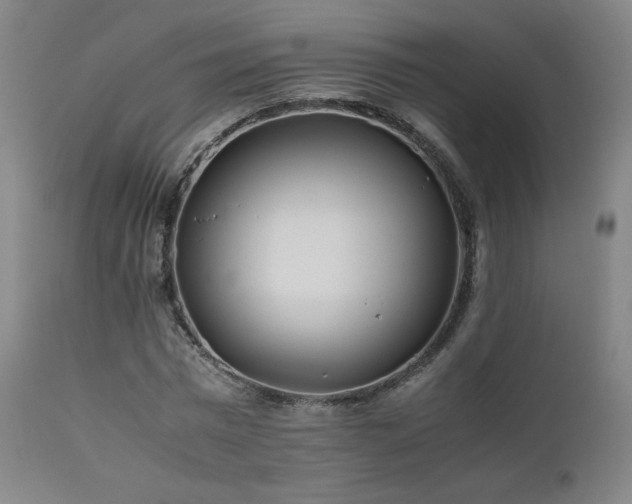 X0000111470777200907131517