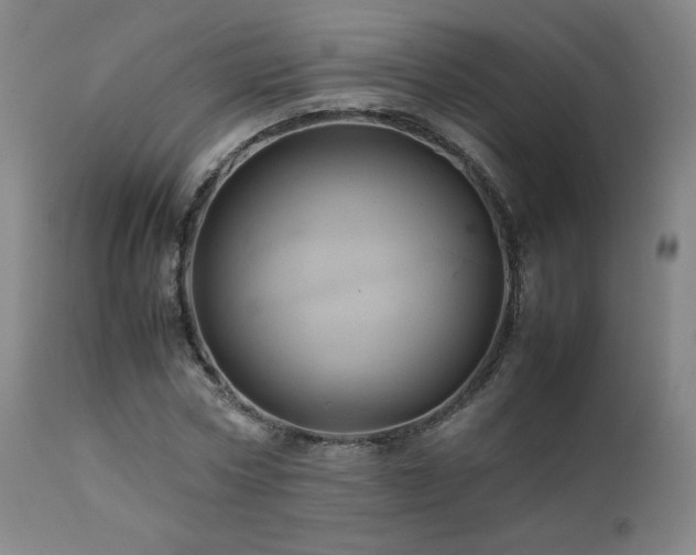 X0000111470778200907131517