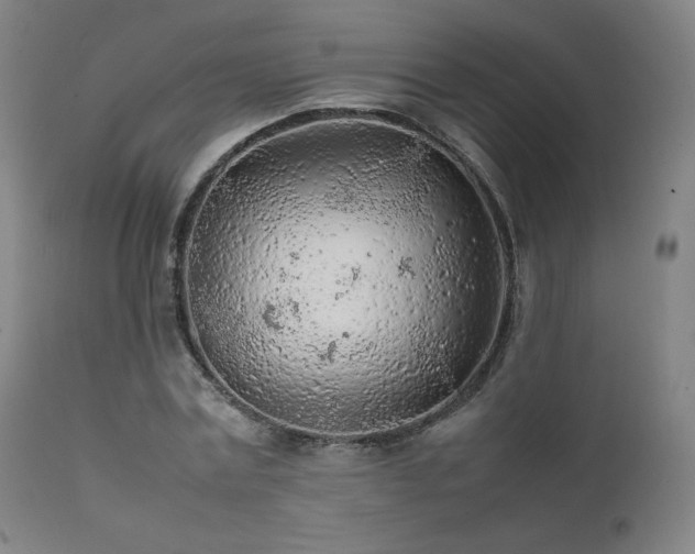 X0000111470779200907131517