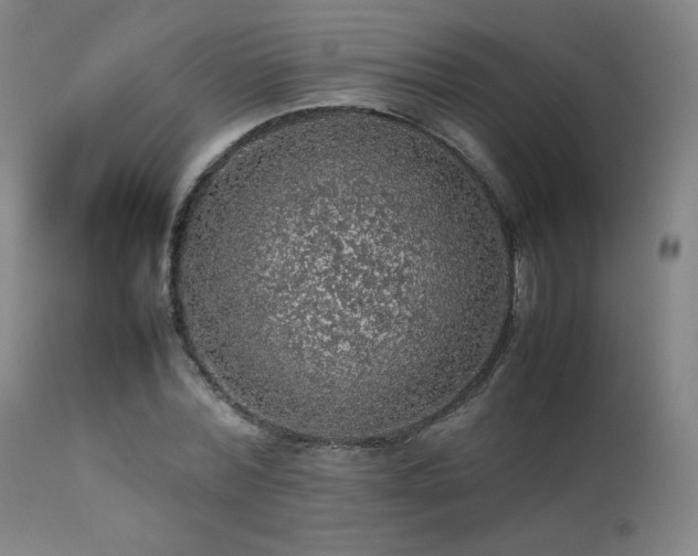 X0000111470780200907131517