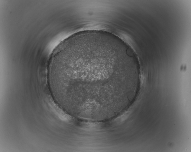 X0000111470781200907131517
