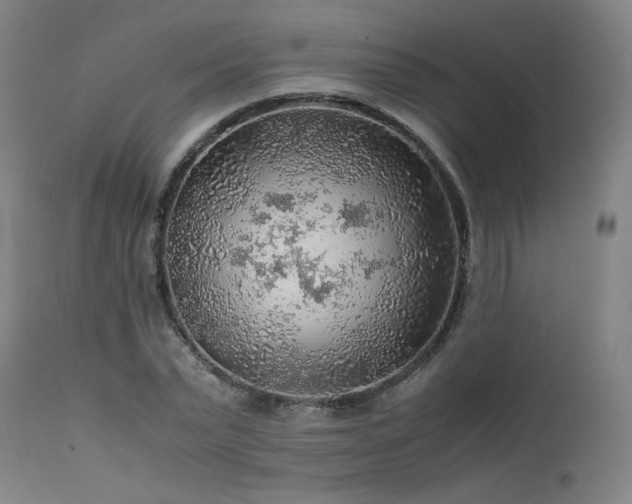 X0000111470783200907131517
