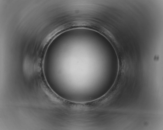 X0000111470786200907131517