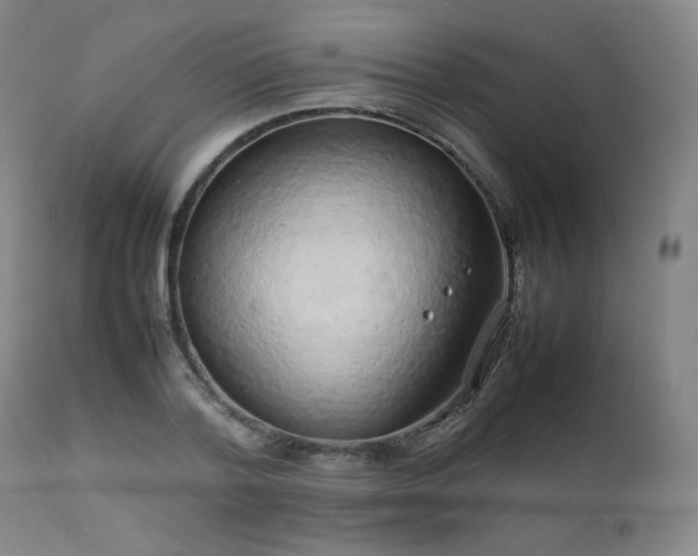 X0000111470788200907131517