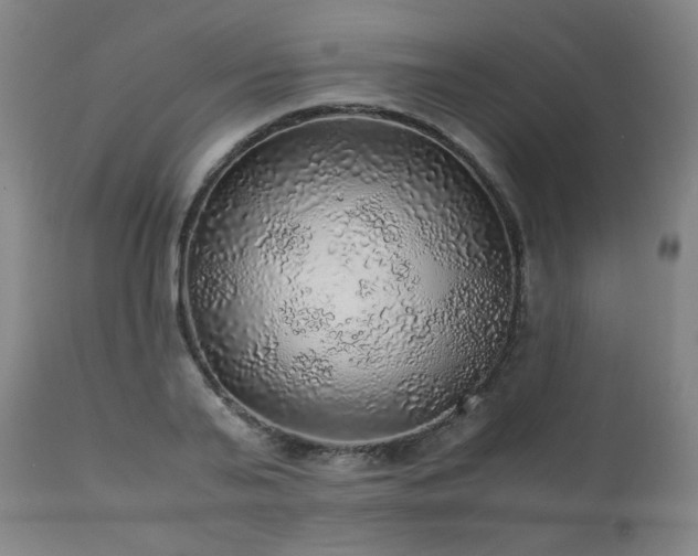 X0000111470791200907131517