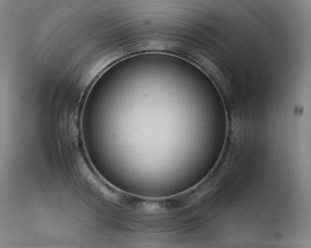 X0000111470794200907131517