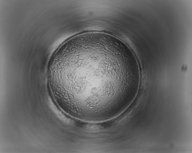 X0000111470795200907131517