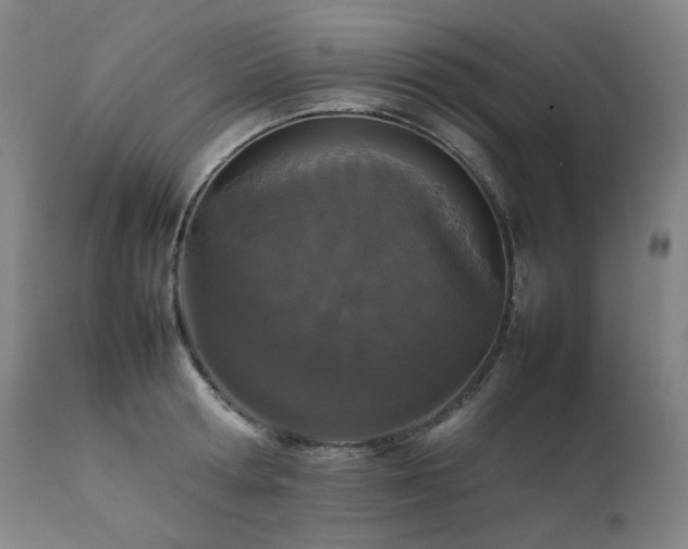X0000111470802200907131517