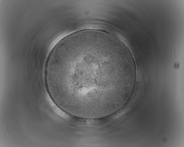 X0000111470803200907131517