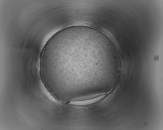 X0000111470804200907131517