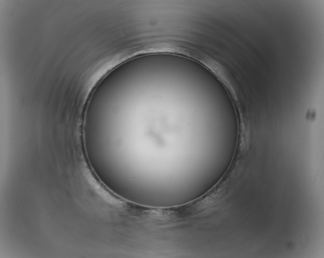X0000111470805200907131517
