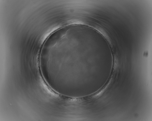 X0000111470806200907131517