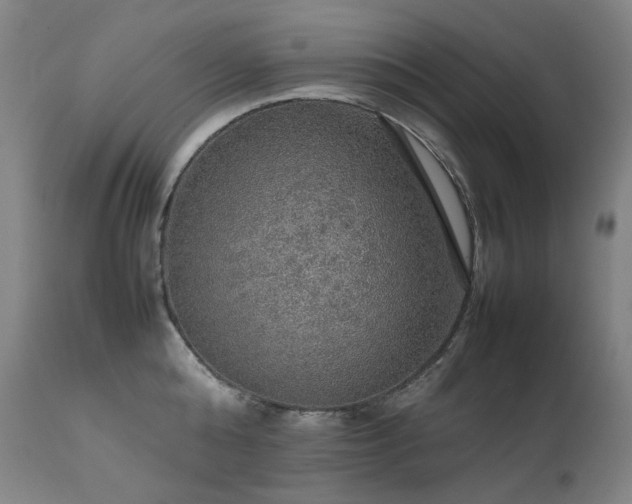 X0000111470808200907131517