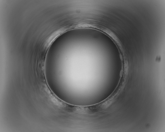 X0000111470809200907131517