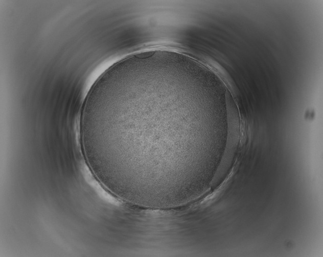 X0000111470812200907131517