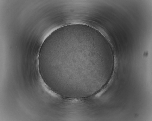 X0000111470814200907131517