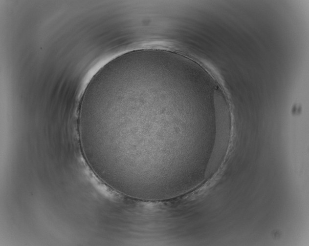 X0000111470816200907131517
