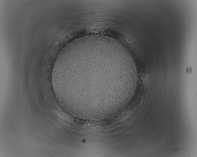 X0000111470817200907131516