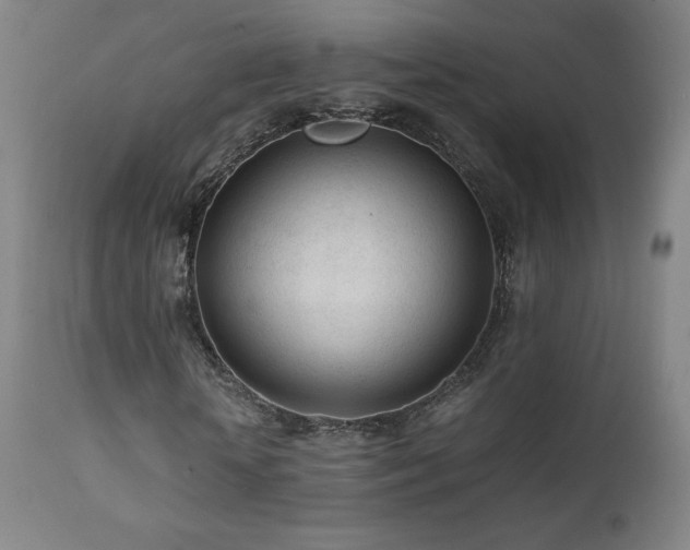 X0000111470818200907131516