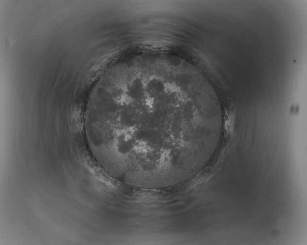 X0000111470819200907131516