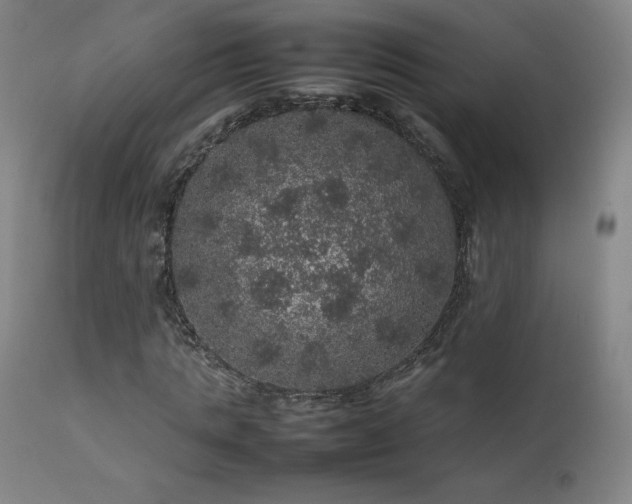 X0000111470821200907131516