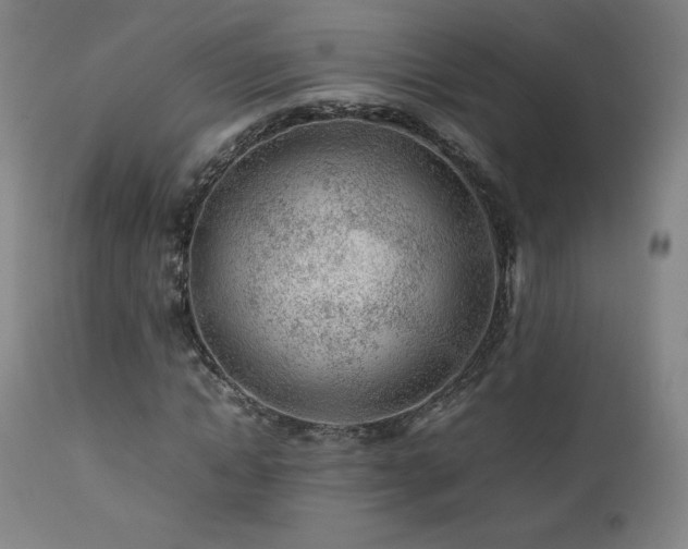 X0000111470822200907131516