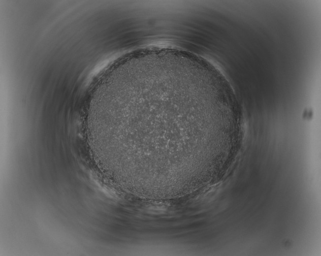 X0000111470823200907131516
