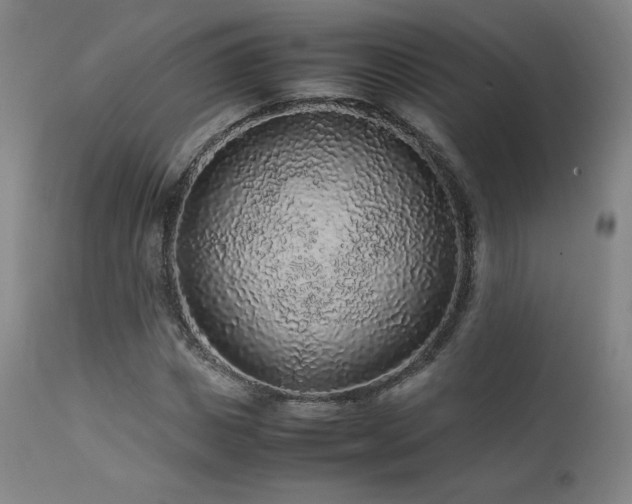 X0000111470825200907131516