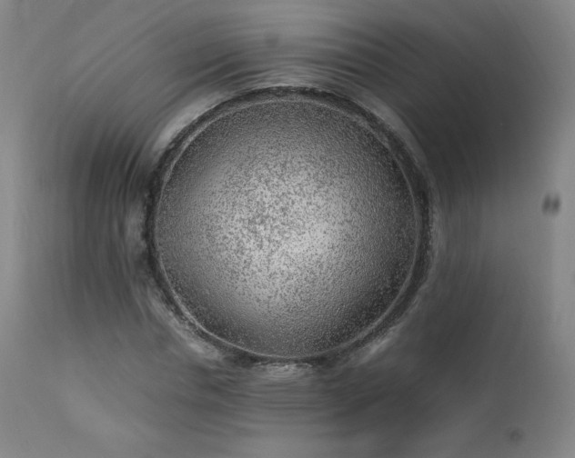 X0000111470826200907131516