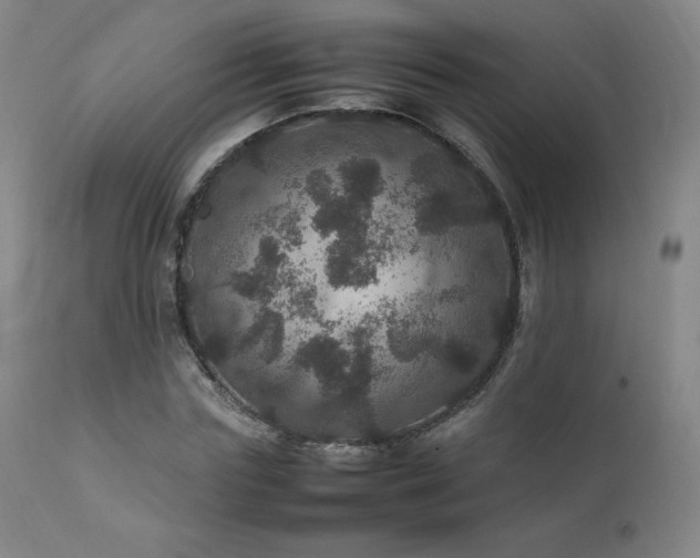 X0000111470827200907131516