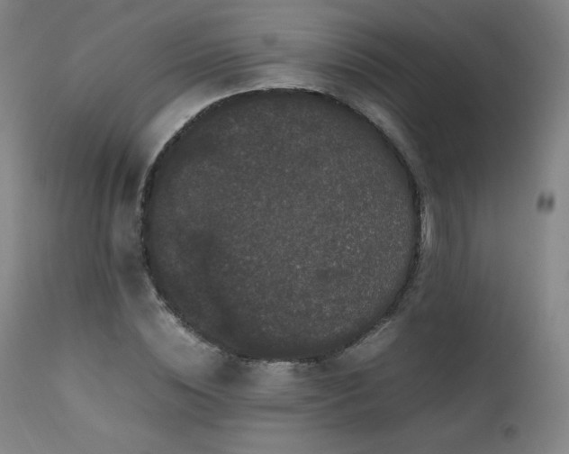 X0000111470828200907131516
