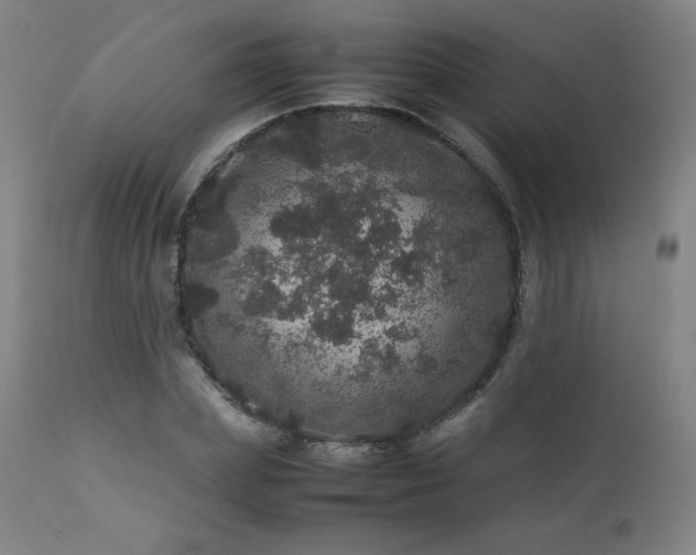 X0000111470831200907131516