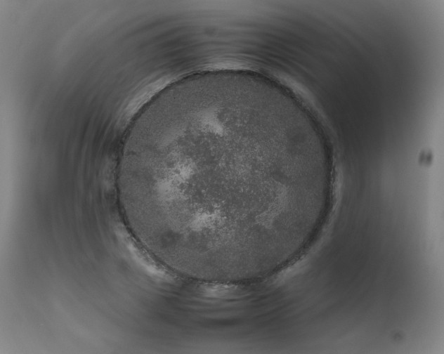 X0000111470833200907131516
