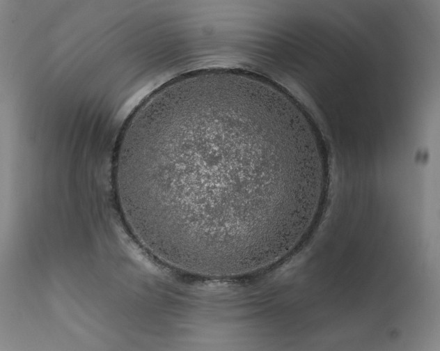 X0000111470834200907131516
