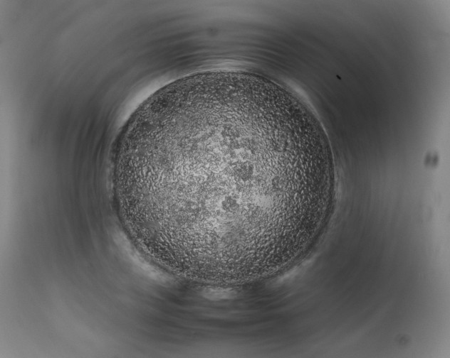 X0000111470835200907131516